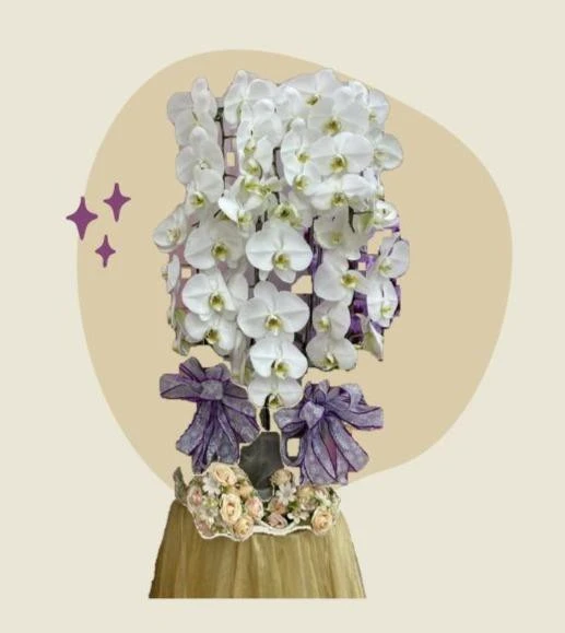 租用蘭花