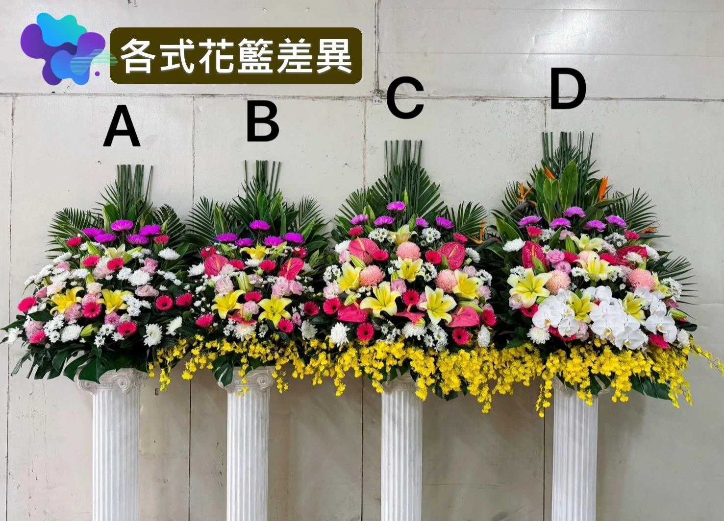花籃B