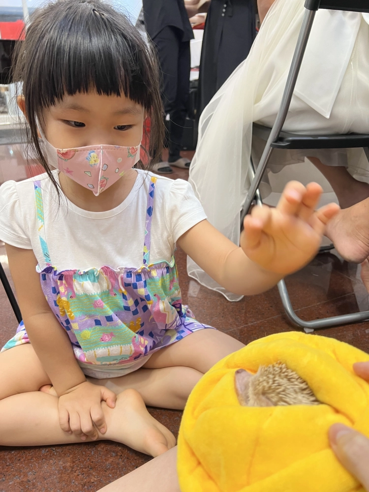 20240616雨你再會