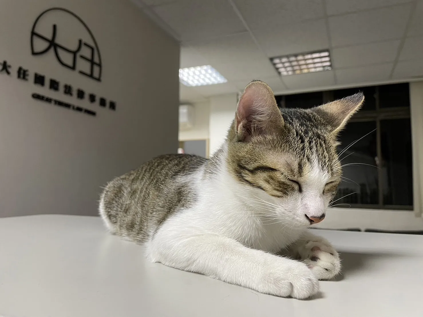 誠徵受雇律師、實習律師、行政助理