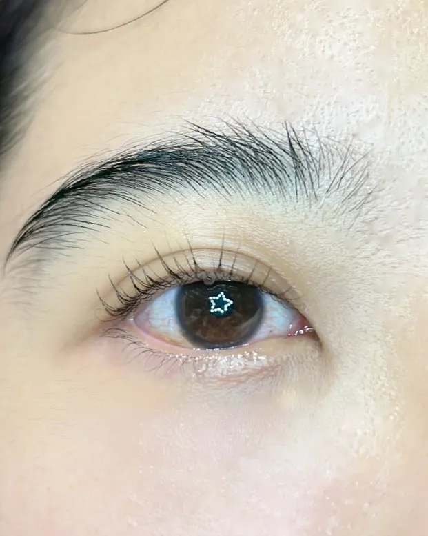 睫毛管理｜桃園睫毛管理、桃園睫毛管理推薦