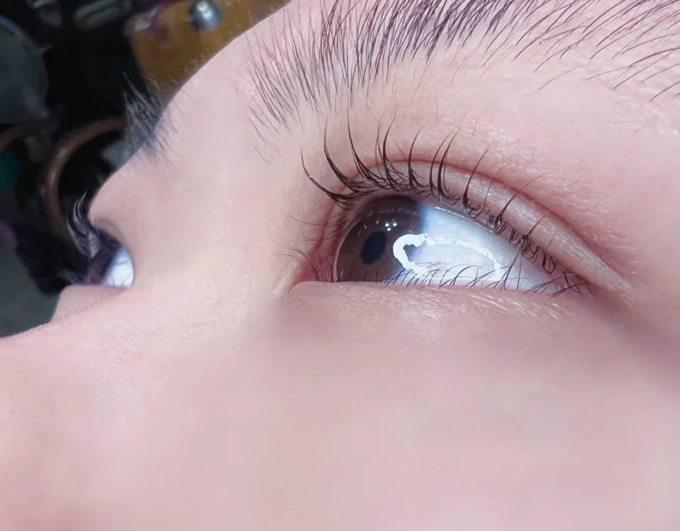 睫毛管理｜桃園睫毛管理、桃園睫毛管理推薦