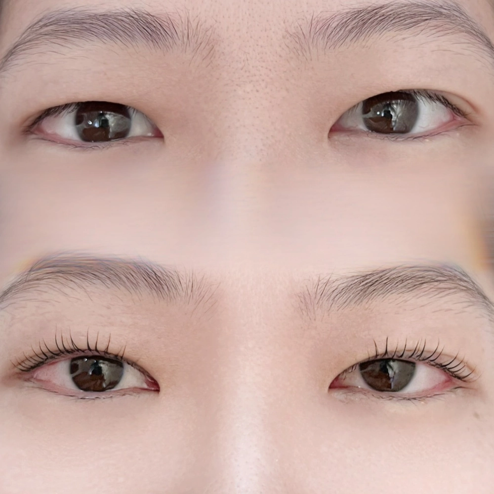 睫毛管理｜桃園睫毛管理、桃園睫毛管理推薦