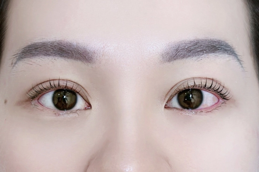 睫毛管理｜桃園睫毛管理、桃園睫毛管理推薦