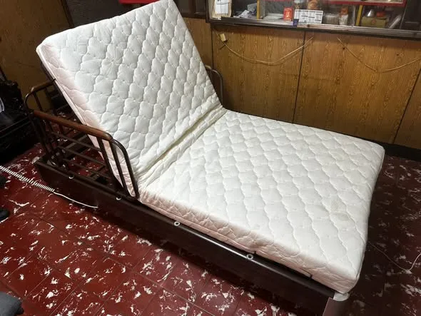 GM-10S1居家低床三馬達