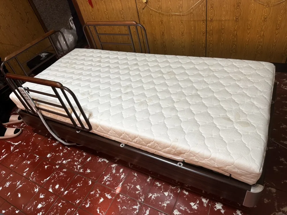 GM-10S1居家低床三馬達