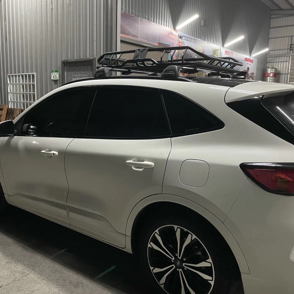 【綠色工場】BUZZ RACK博智銳--車頂行李盤 / 置物盤 置物籃 車頂盤 車頂籃 車頂架 露營置物 露營 汽車精品