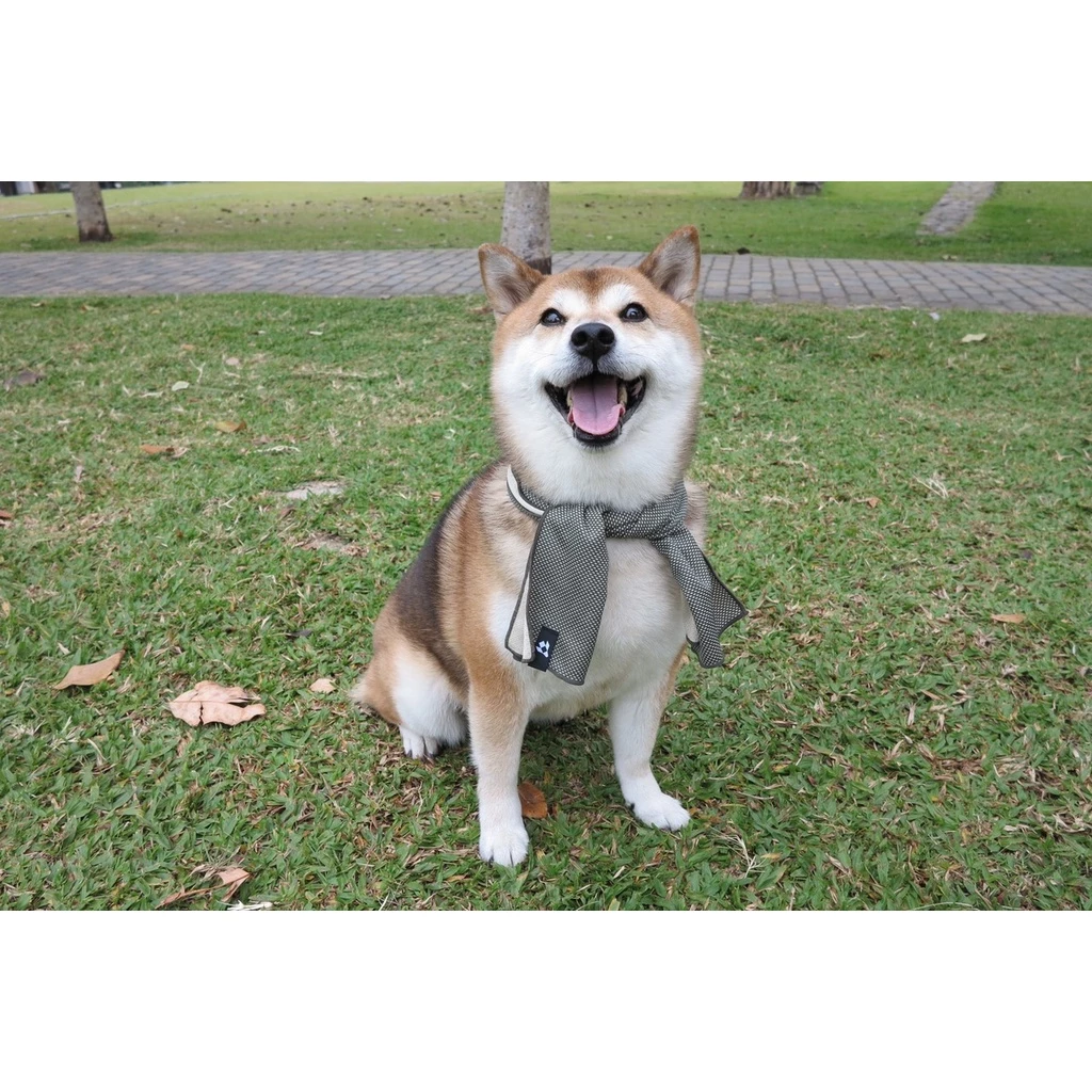 【綠色工場】 <openjoynt> 雙色冰涼機能運動毛巾