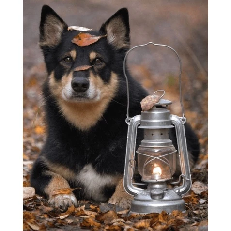 Feuerhand 276 火手燈 【綠色工場】火手 古典煤油燈 露營燈 照明燈 氣氛燈 復古油燈- 多色可選