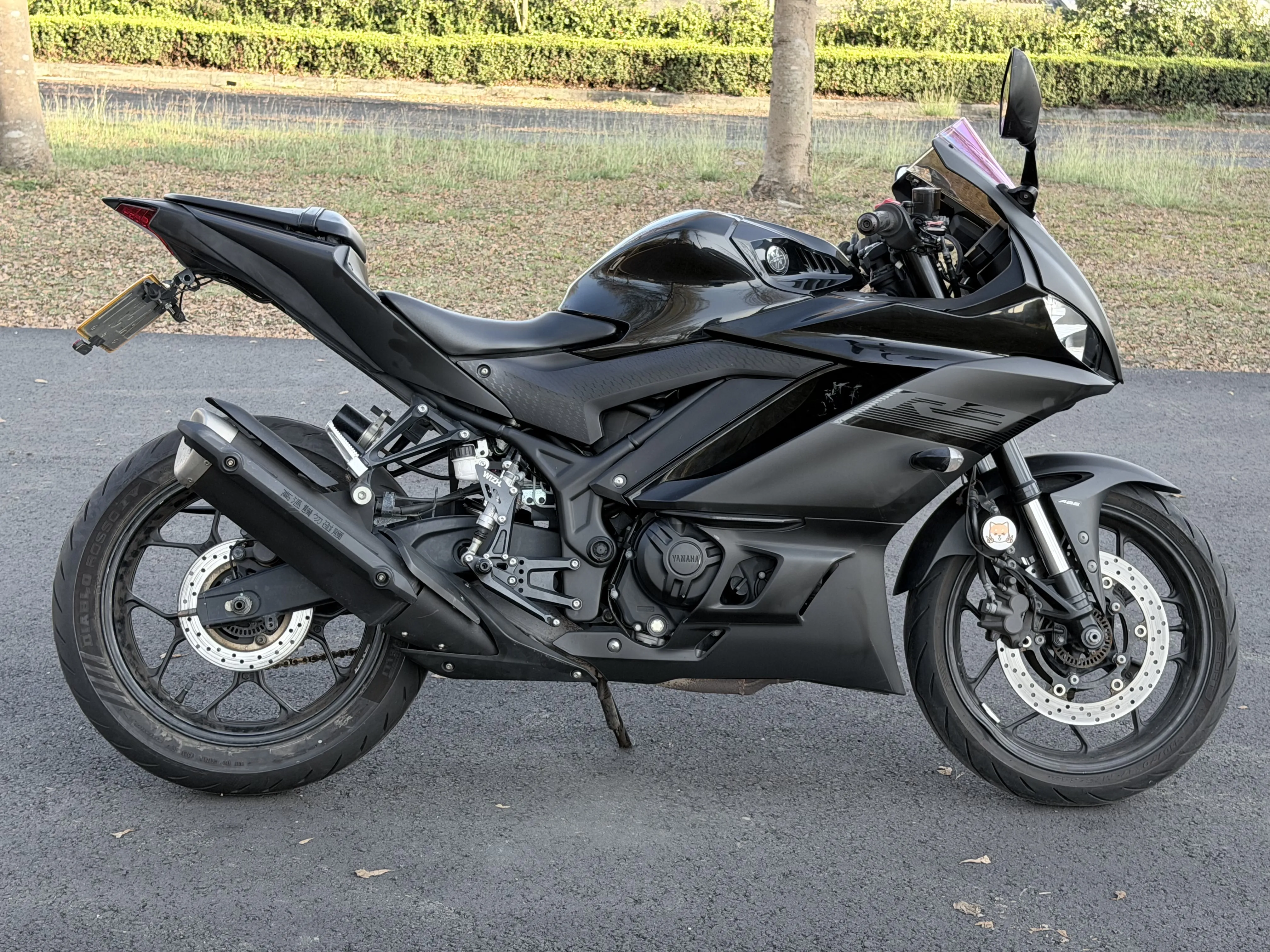 2019 YAMAHA YZF-R3