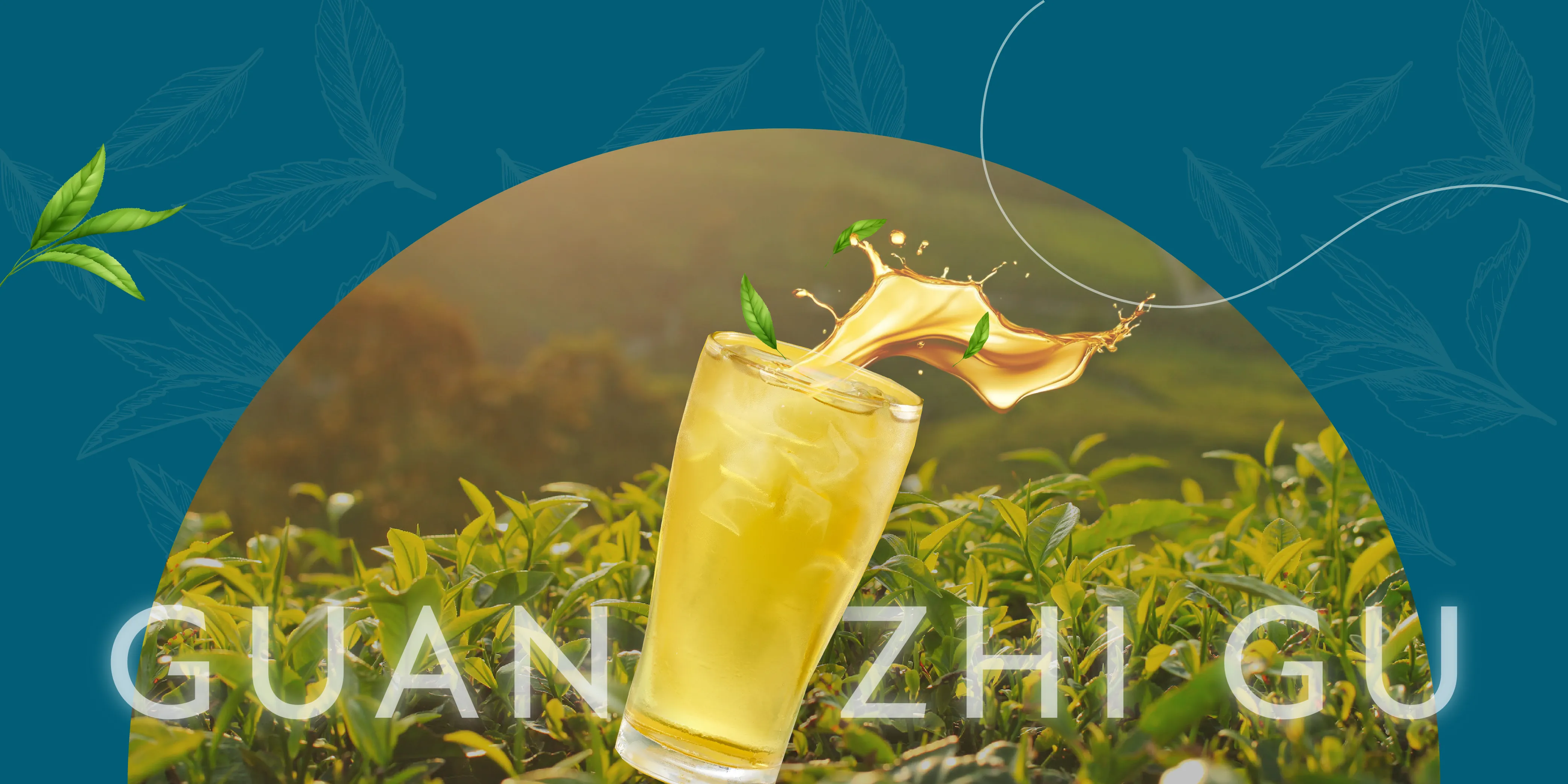 光之谷/台灣茶飲專賣-飲料店加盟,手搖飲料加盟,台中飲料店加盟,台中手搖飲料加盟,西區飲料店加盟