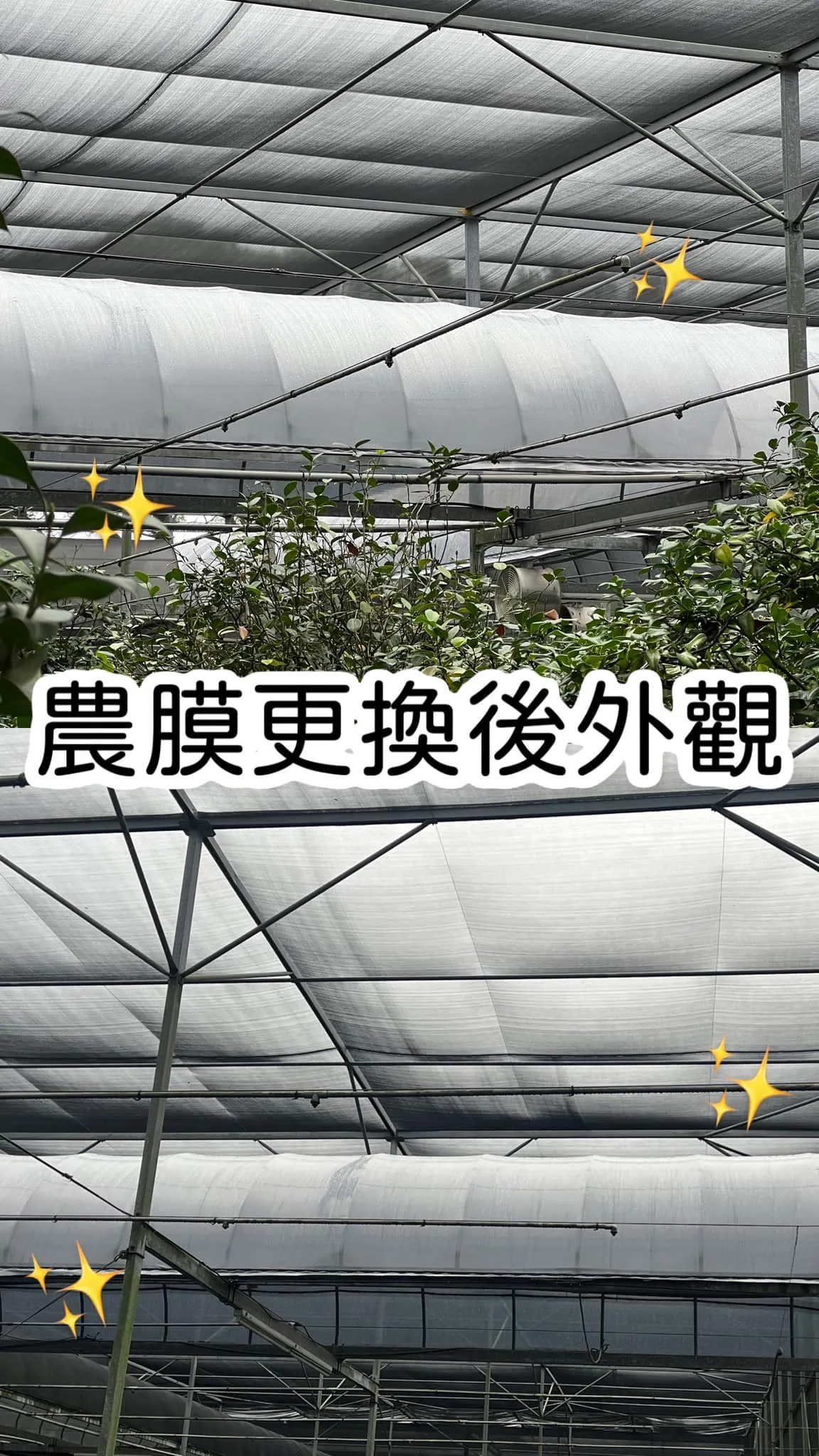 為什麼要更換遮陰網？週一更換帆布遇到幾個小問題，給大家解釋一下-溫室工程/溫網室搭建