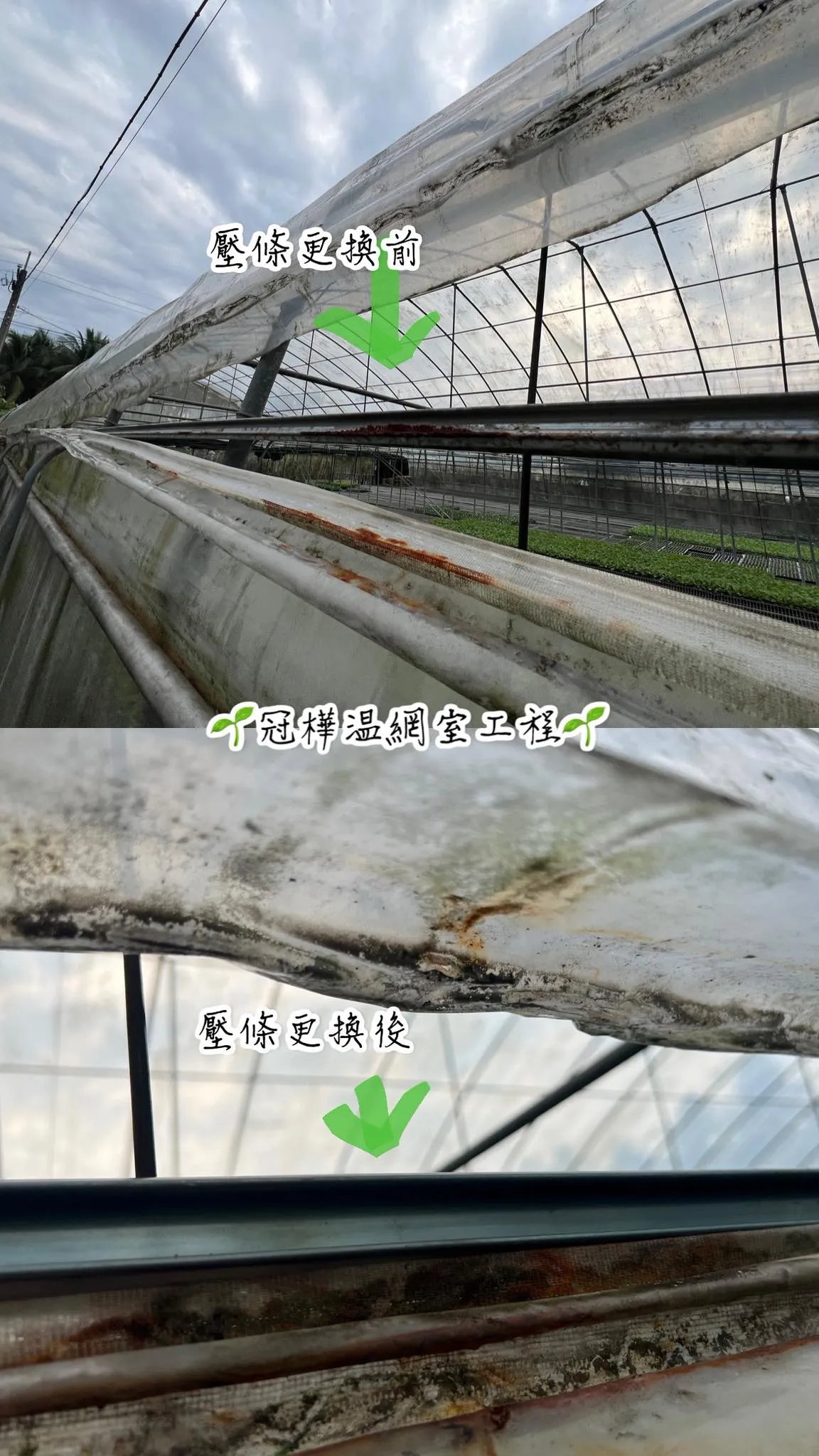 為什麼我只是要換農膜，但又叫我多換壓條-溫室工程/溫網室搭建