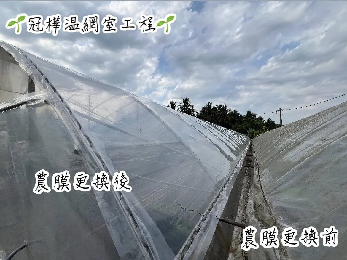 農膜更換作品-搭溫室/溫室搭建