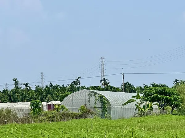 簡易溫室搭建