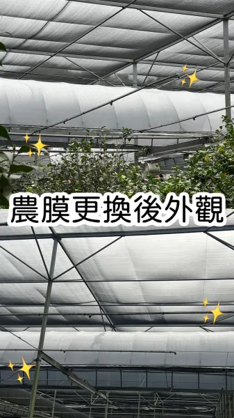 更換帆布