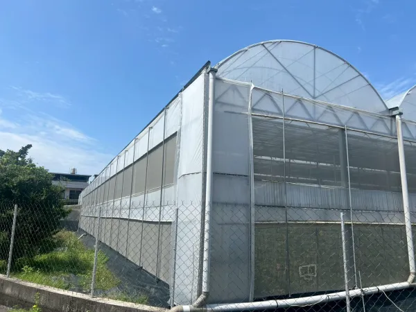 力霸溫室搭建