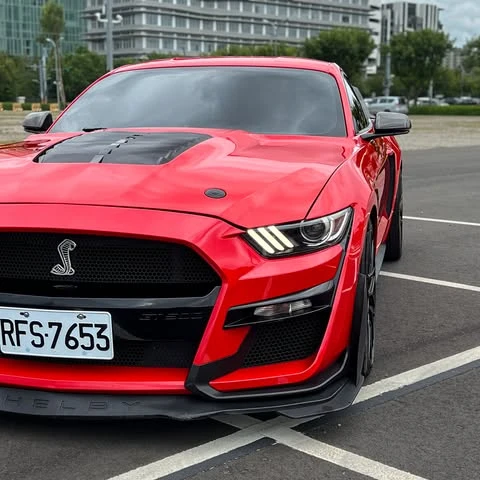 Ford Mustang |經典美式肌肉血統