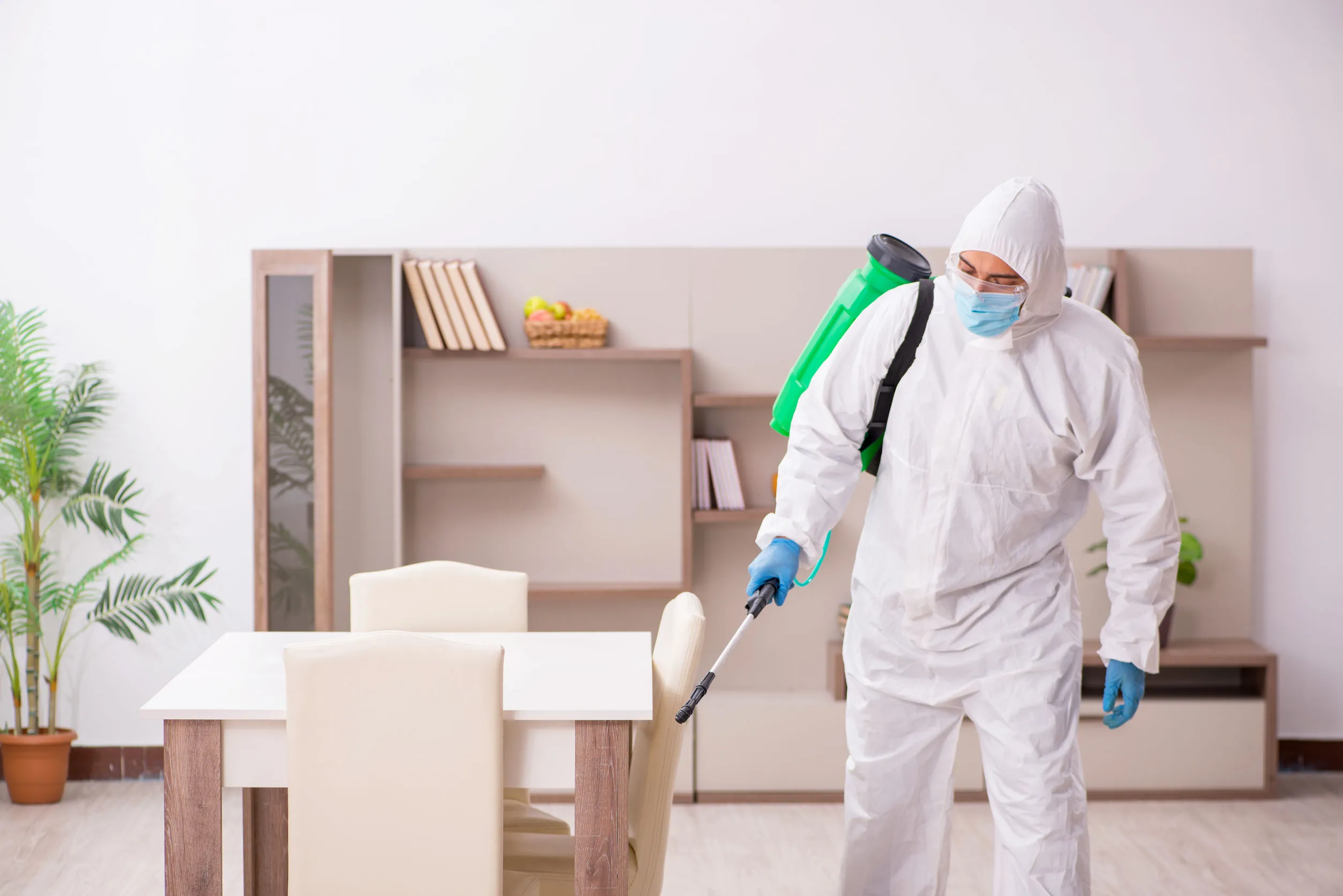 老屋除蟲的方式?老屋除蟲的服務找誰? | 除蟲公司推薦、雲林除蟲口碑第一