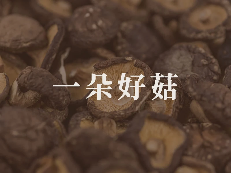 農場環境