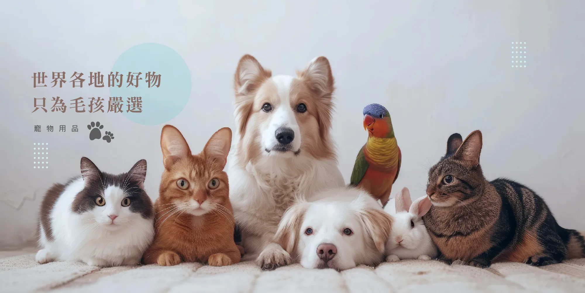 Gurupet寵物用品-寵物用品,寵物用品批發,彰化寵物用品店,彰化寵物用品批發