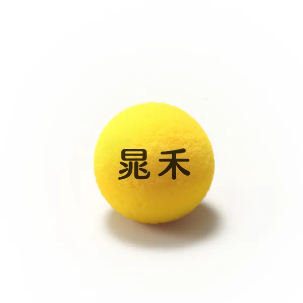 晁禾健康活力球