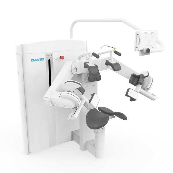 David Shoulder Concept