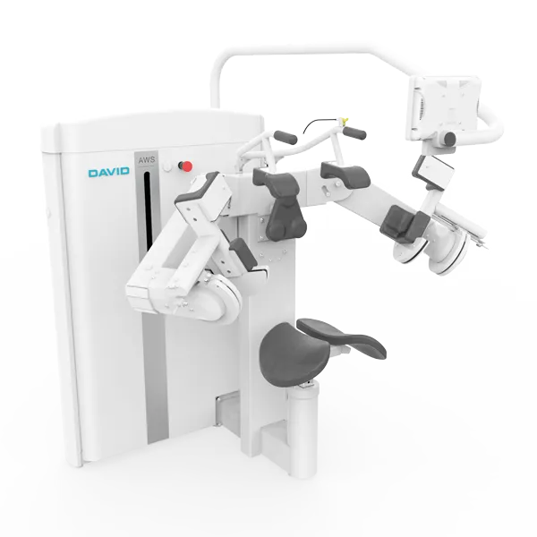 David Shoulder Concept