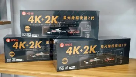 行車紀錄器 大邁