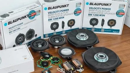 汽車音響 德國藍點- BMW F10