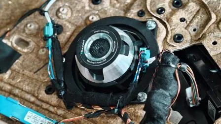 汽車音響 德國藍點- BMW F10