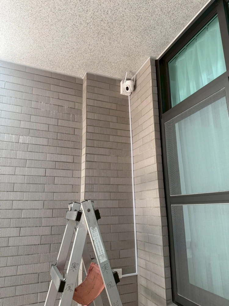 台南善化區牛庄