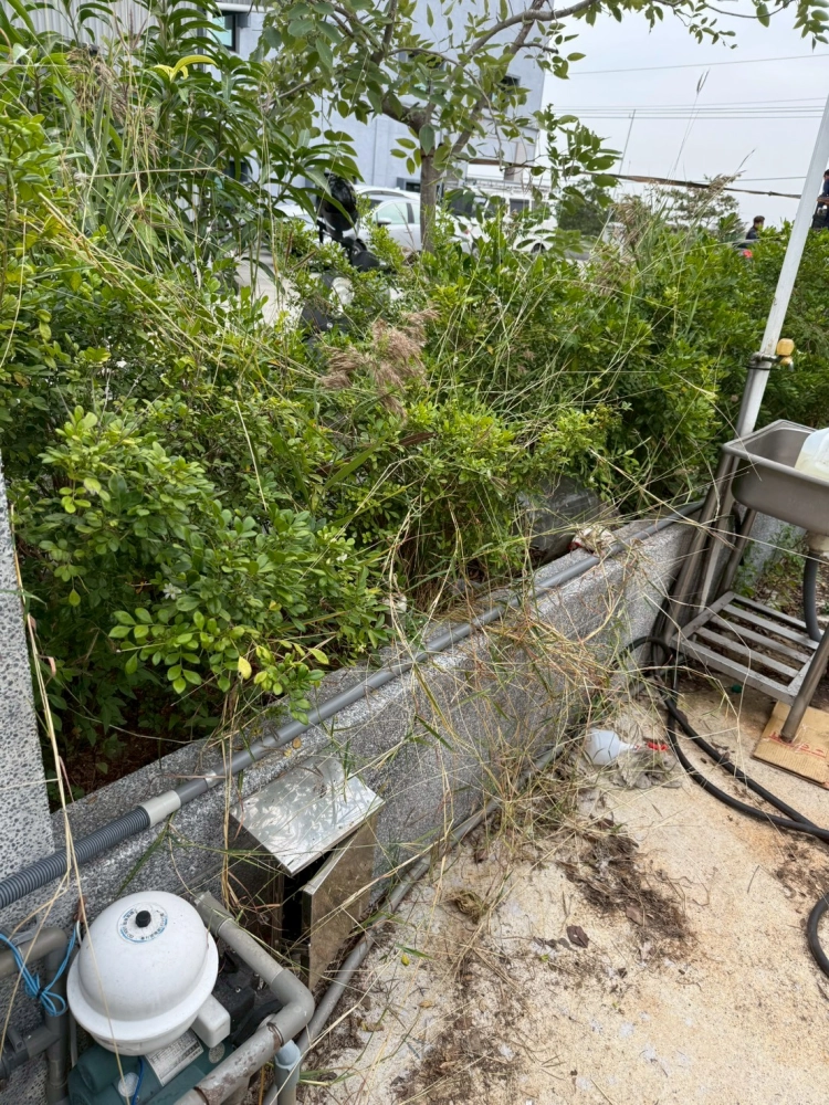 台南市七股區三股里