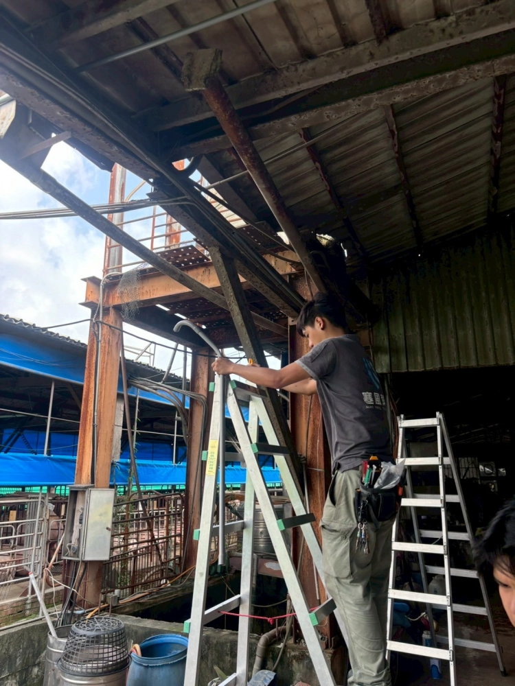 台南市新營區豬舍