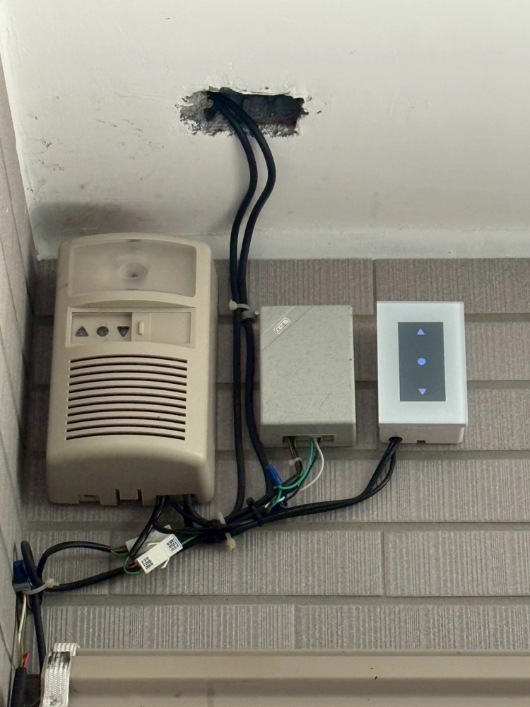 台南善化區牛庄