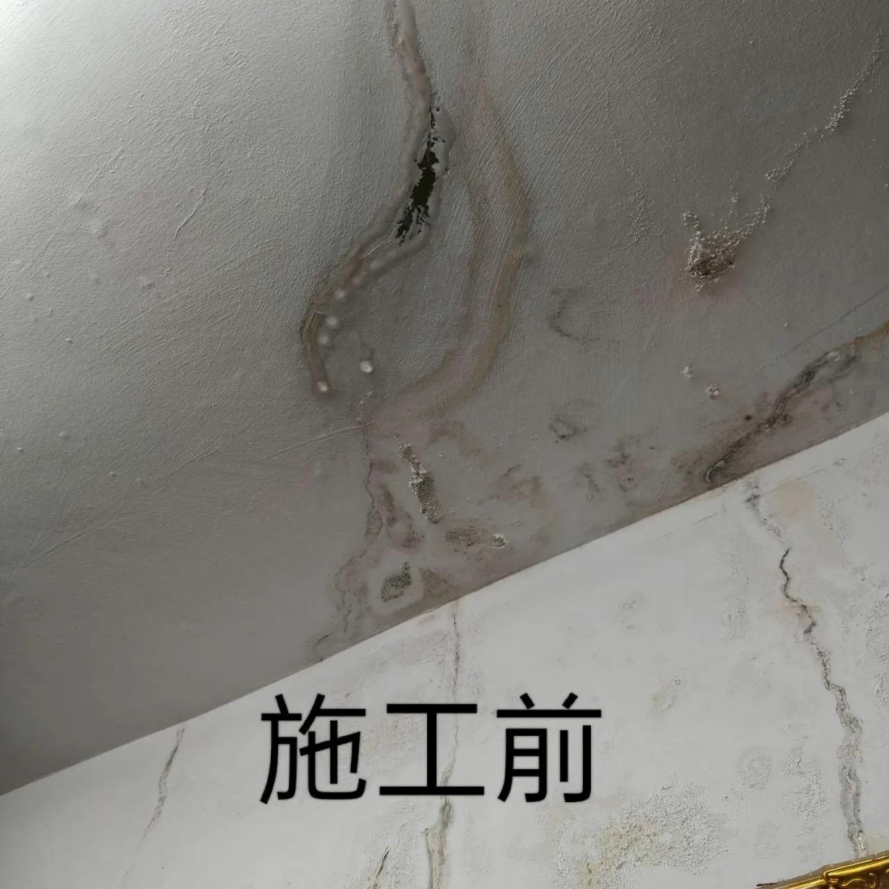 案例分享