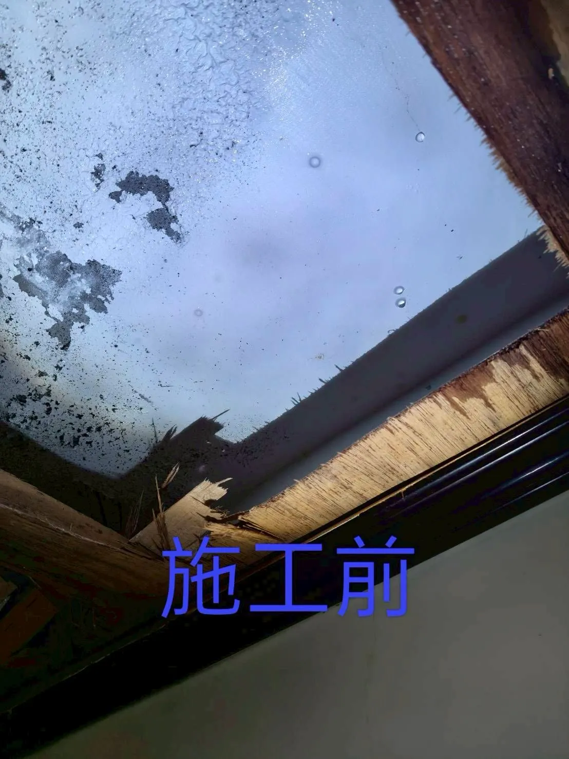 案例分享