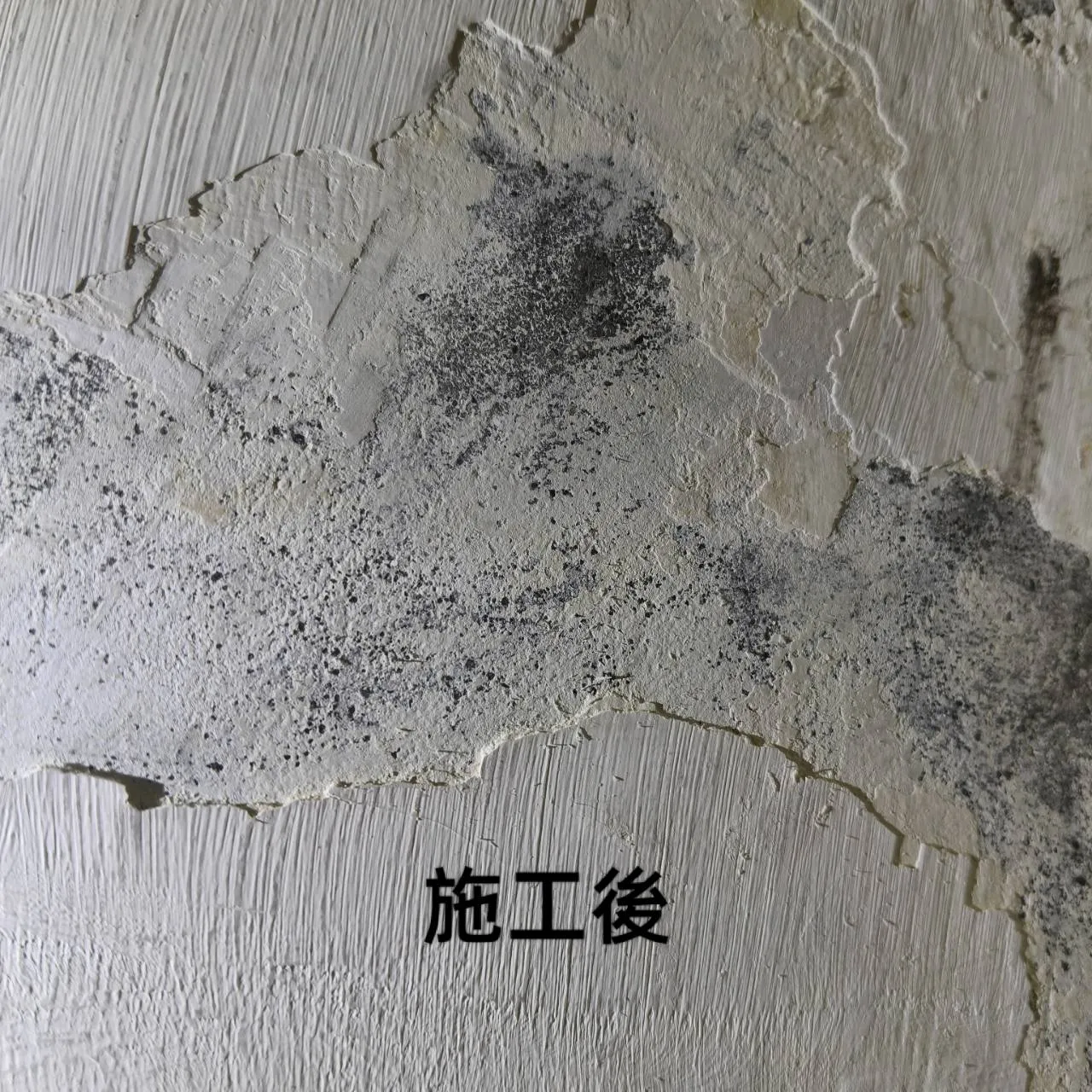 案例分享