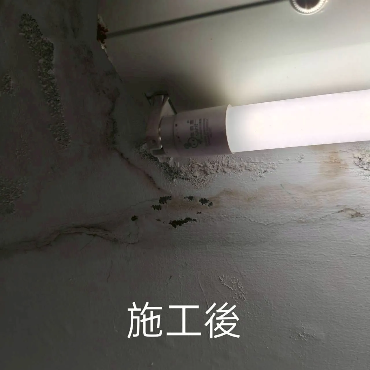 案例分享