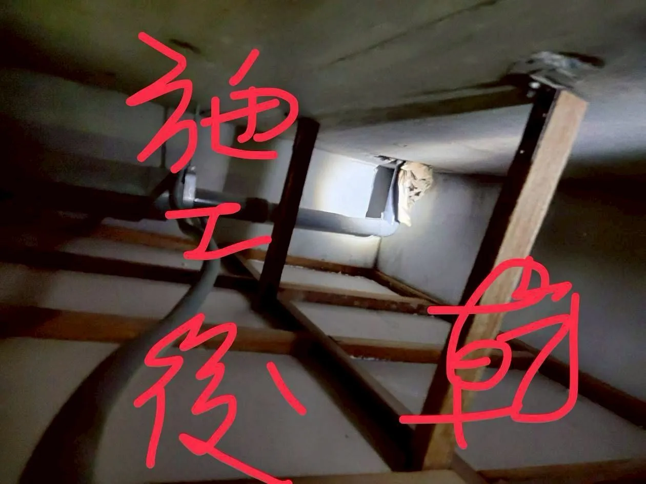 案例分享