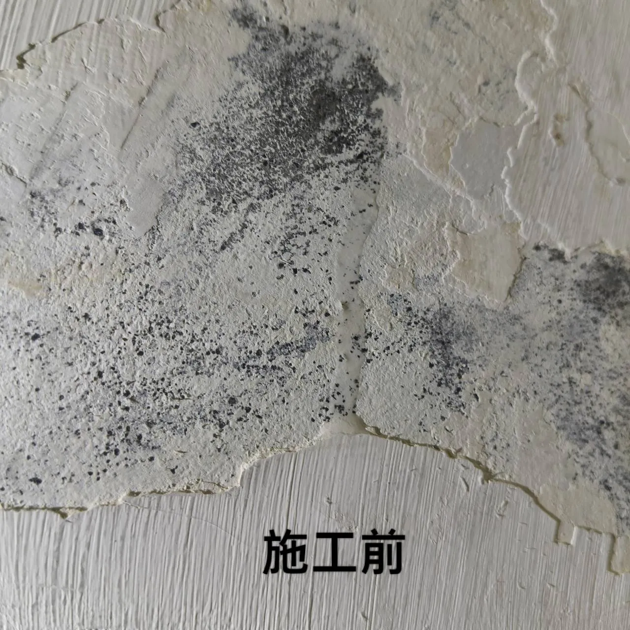 案例分享