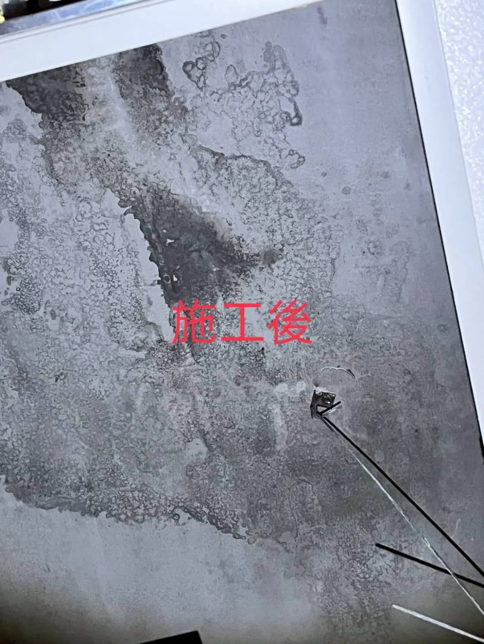 案例分享