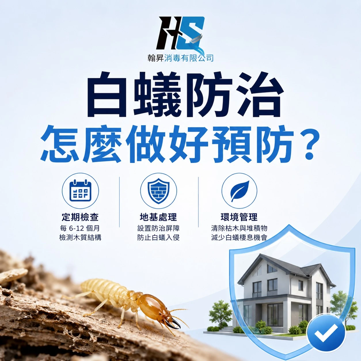 白蟻防治怎麼做好預防？｜台中除白蟻｜大里除白蟻｜