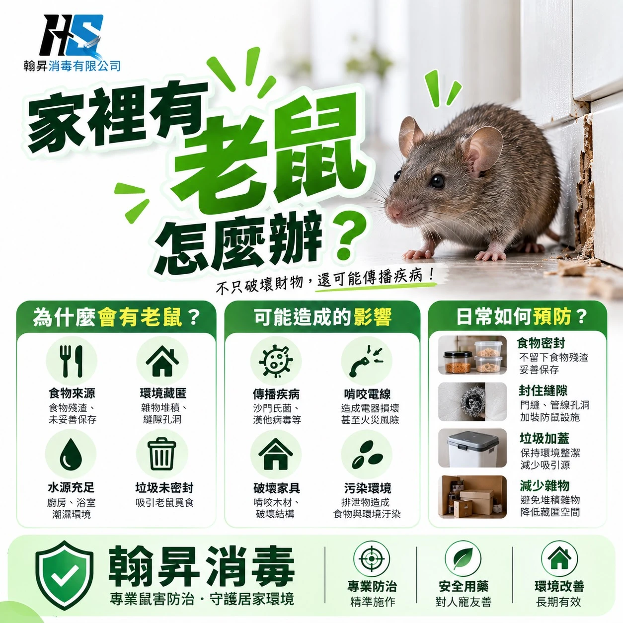 家裡有老鼠怎麼抓？｜台中除老鼠｜大里捕鼠推薦｜