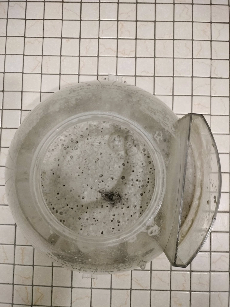 新的案主