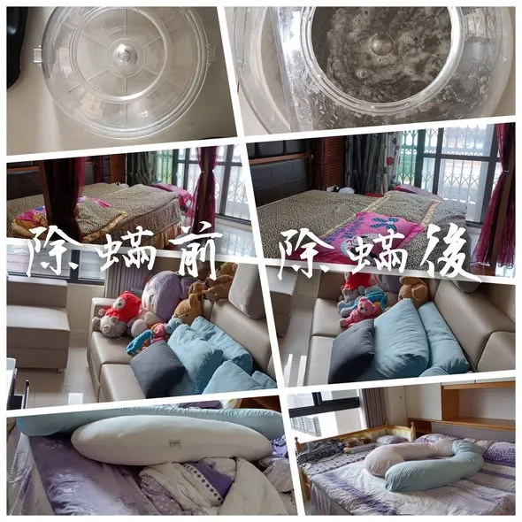 感謝鳳山區曾先生的預約 做了3房除蟎的服務