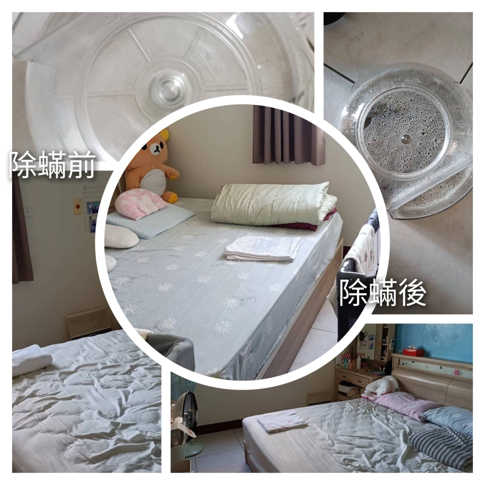 感謝三民區林小姐的預約 做2房的除蟎服務