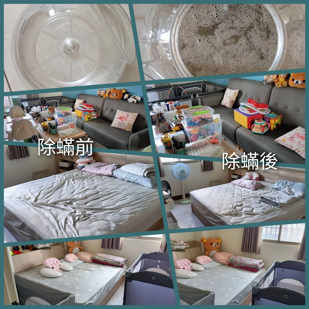 感謝三民區林小姐的預約 做了2個房間1客廳除塵蟎服務