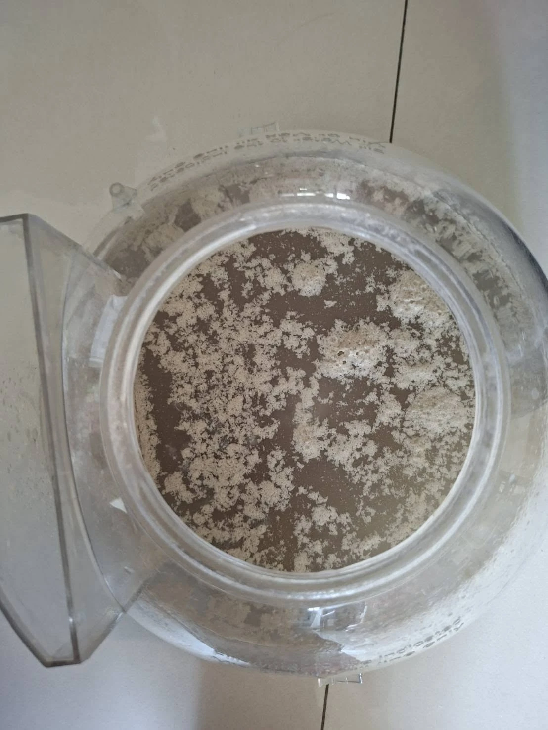 感謝鳳山區謝薛小姐早上預約做1臺冷氣清洗1房間除蟎服務