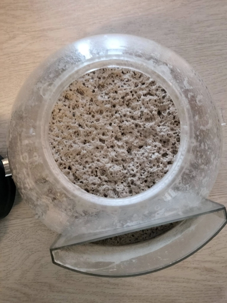 新的案主